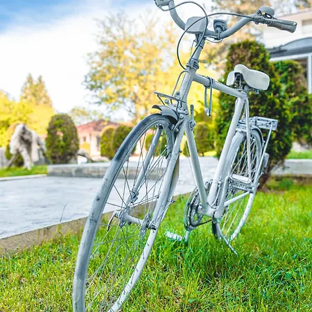 и марая ツァレヴォ