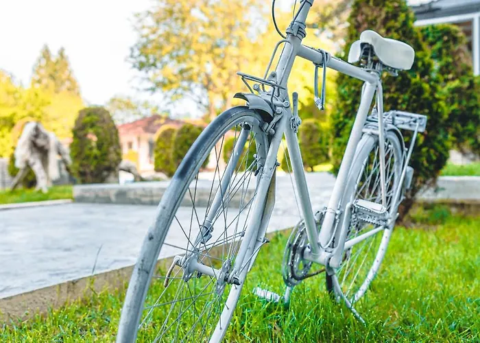 и марая ツァレヴォ